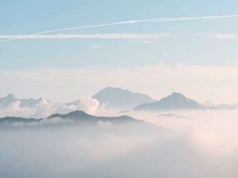 作品封面：最新力作